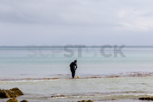 A freediver at the beach, Hawke’s Bay, New Zealand - SCP Stock