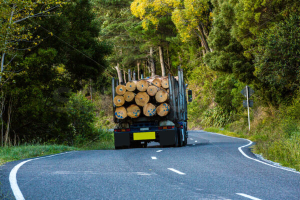 A logging truck driving down a twisty road, Hawke’s Bay, New Zealand - SCP Stock