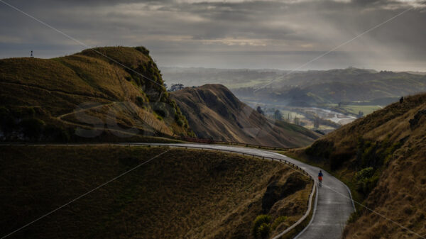 A lone runner, Te Mata Peak, Havelock North, Hawke’s Bay, New Zealand - SCP Stock