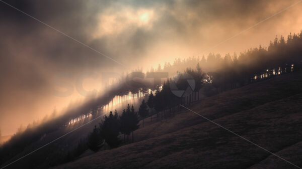 A moody hillside in autumn, Hawke’s Bay, New Zealand - SCP Stock