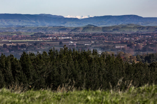 A snow capped Mount Ruapehu, as seen from Hastings, Hawke’s Bay, New Zealand - SCP Stock