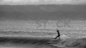 A surfer riding the Hardinge Road break, Ahuriri, Napier, Hawke’s Bay (B&W) - SCP Stock