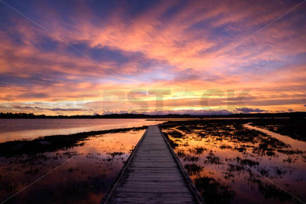 Ahuriri Estuary, Napier, Hawke’s Bay, New Zealand - SCP Stock