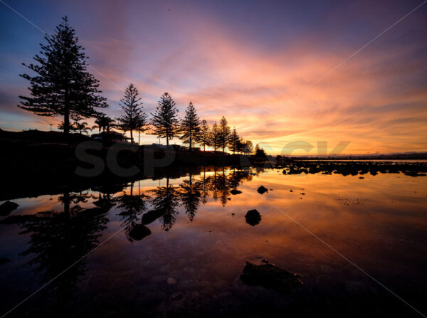 Ahuriri, Napier, Hawke’s Bay, New Zealand - SCP Stock