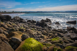 Boulders at the beach, Ahuriri, Napier, Hawke’s Bay, New Zealand - SCP Stock