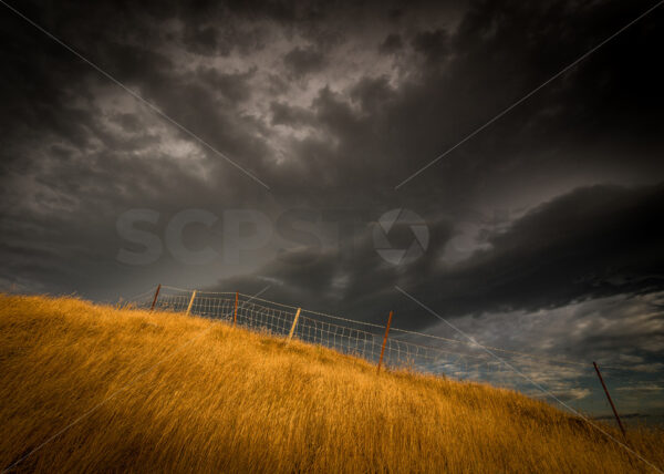 Dry Grass on Te Mata Peak with storm clouds above,  Hawke’s Bay, New Zealand - SCP Stock