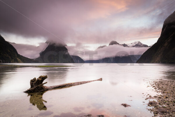 Early morning at Mitre Peak, Milford Sound, Fiordland, New Zealand - SCP Stock