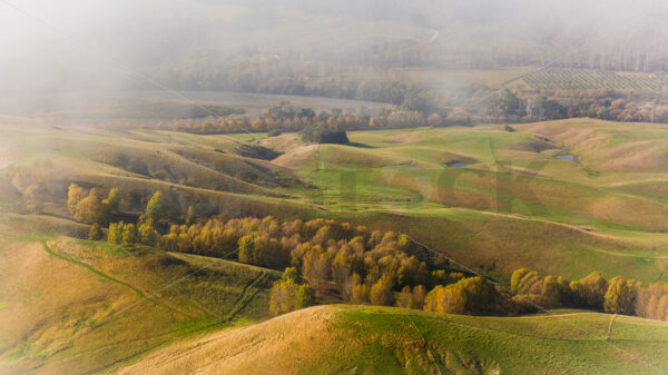 Early morning mist over farmland, Hawke’s Bay, New Zealand - SCP Stock