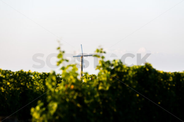 Frost fan at a Hawke’s Bay vineyard, Hawke’s Bay, New Zealand - SCP Stock