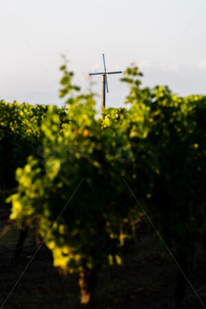 Frost fan at a Hawke’s Bay vineyard, Hawke’s Bay, New Zealand - SCP Stock