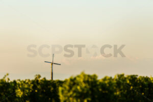 Frost fan at a Hawke’s Bay vineyard, Hawke’s Bay, New Zealand - SCP Stock