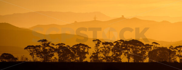 Hawke’s Bay hills in the late afternoon sun, Ahuriri, Napier, Hawke’s Bay, New Zealand - SCP Stock