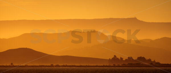 Hawke’s Bay hills in the late afternoon sun, Ahuriri, Napier, Hawke’s Bay, New Zealand - SCP Stock