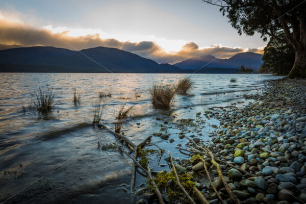 Last Light at Sunset & Tree Roots Across the Bank of Lake Te Anau, Southland, New Zealand - SCP Stock