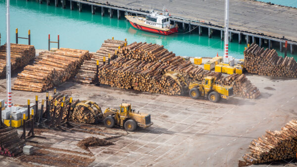 Logs being moved at Napier Port, Napier, Hawke’s Bay, New Zealand - SCP Stock