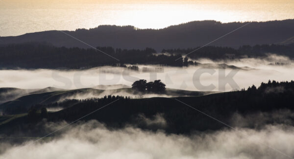 Mist hanging over the Tukituki landscape, Hawke’s Bay, New Zealand - SCP Stock