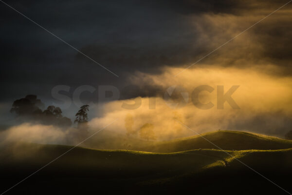 Mist over the landscape Hawke’s Bay, New Zealand - SCP Stock