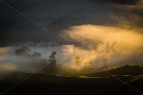 Mist over the landscape Hawke’s Bay, New Zealand - SCP Stock