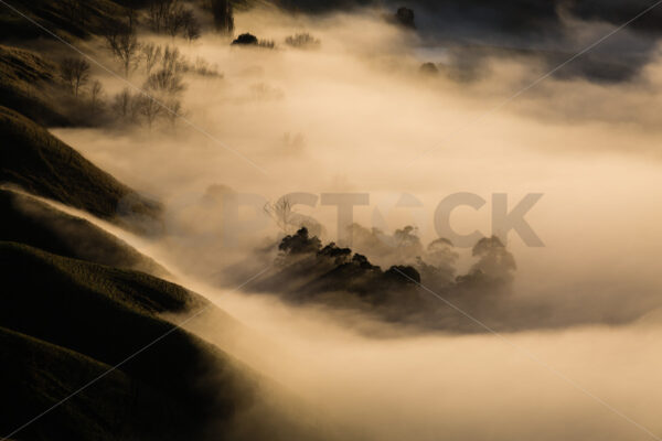 Mist over the landscape Hawke’s Bay, New Zealand - SCP Stock