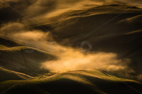 Mist over the landscape Hawke’s Bay, New Zealand - SCP Stock