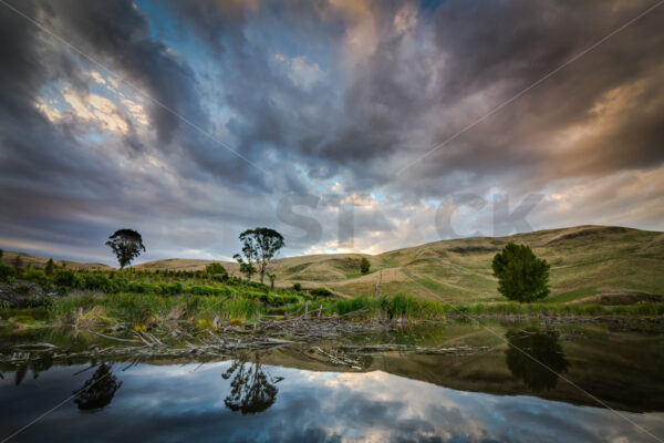 Morning & reflections at Peka Peka wetlands, Hawke’s Bay, New Zealand - SCP Stock