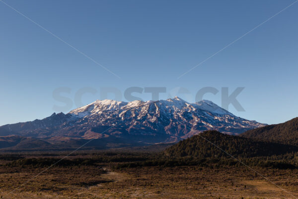 Mount Ruapehu, North Island, New Zealand - SCP Stock