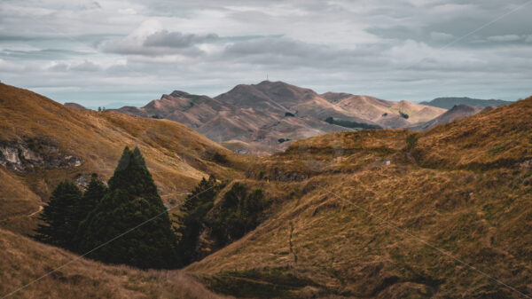 Mount erin, Havelock North, Hawke’s Bay, New Zealand - SCP Stock