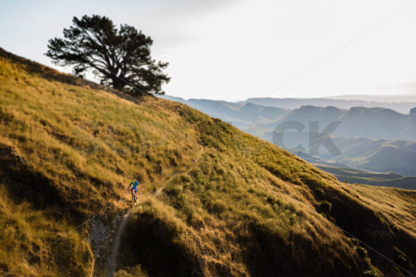 Mountain Biking at golden hour on Te Mata Peak, Hawkes Bay, New Zealand - SCP Stock