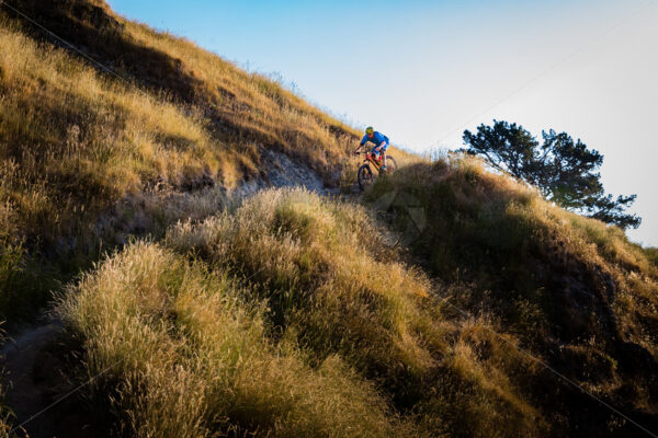 Mountain Biking at golden hour on Te Mata Peak, Hawkes Bay, New Zealand - SCP Stock