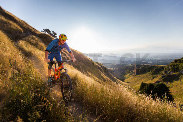 Mountain Biking at golden hour on Te Mata Peak, Hawkes Bay, New Zealand - SCP Stock