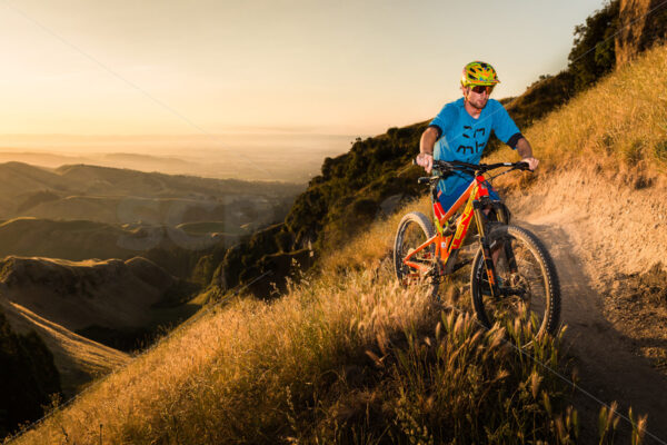 Mountain Biking at golden hour on Te Mata Peak, Hawkes Bay, New Zealand - SCP Stock