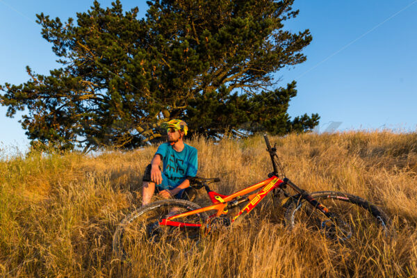 Mountain Biking at golden hour on Te Mata Peak, Hawkes Bay, New Zealand - SCP Stock