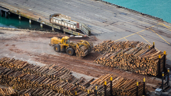 Moving logs at Napier Port, Napier New Zealand - SCP Stock