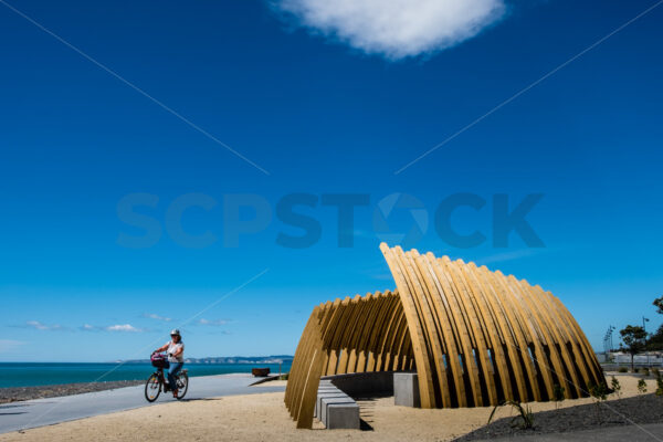 Napier’s Reef Garden & a lady riding her bike, Napier, Hawke’s Bay, New Zealand - SCP Stock