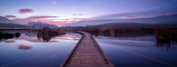 Peka Peka Wetlands at dawn, Hawke’s Bay, New Zealand - SCP Stock