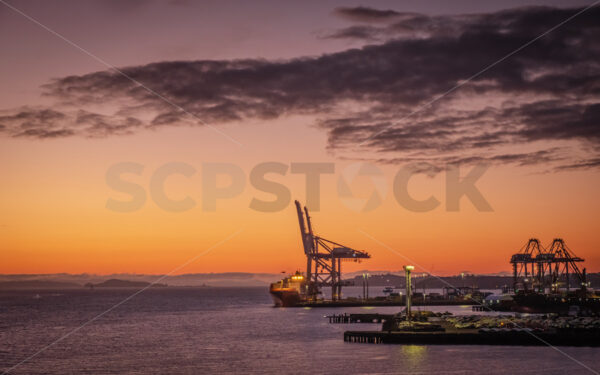 Port of Auckland’s Bledisloe Wharf & multi-purpose terminal at sunrise, Auckland - SCP Stock