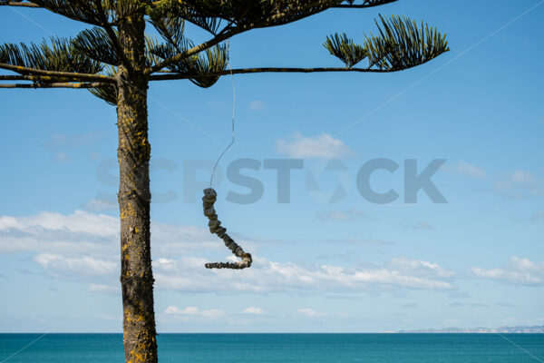 Pummice tree art, Napier, Hawke’s Bay, New Zealand - SCP Stock