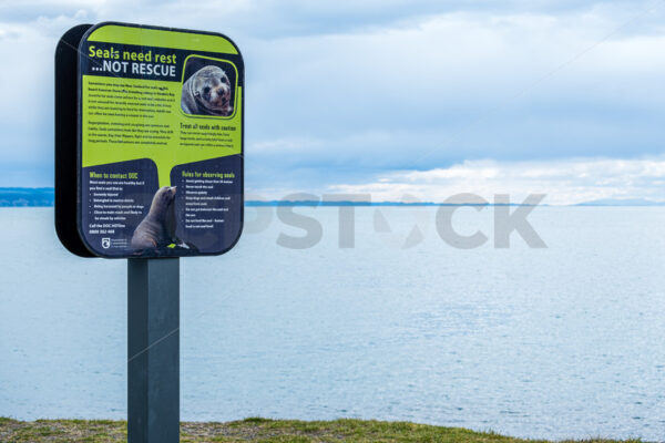 Seals need rest, not rescue sign, Napier, Hawke’s Bay, New Zealand - SCP Stock