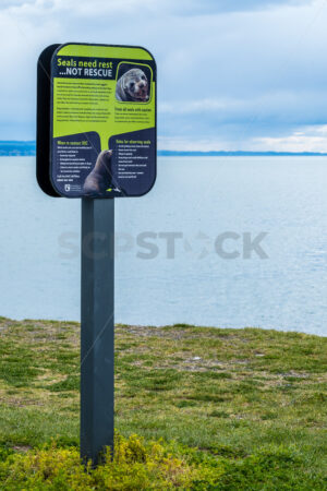 Seals need rest, not rescue sign, Napier, Hawke’s Bay, New Zealand - SCP Stock