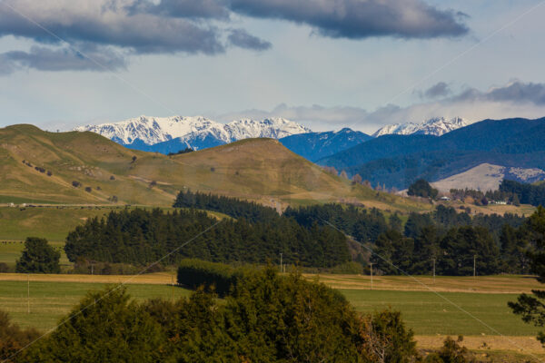 Snow Capped Ruahine Ranges, New Zealand - SCP Stock