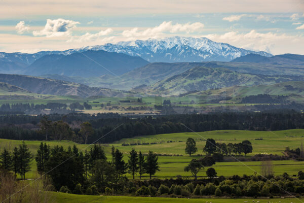 Snow Capped Ruahine Ranges, New Zealand - SCP Stock