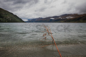 South Island Lake in Autumn, NZ - SCP Stock