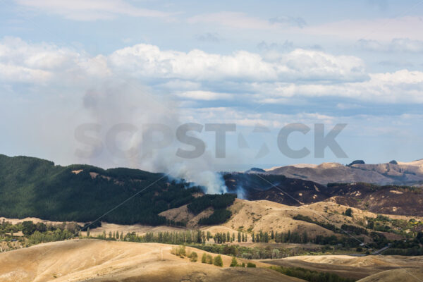 Summer grass fire, Hawke’s Bay, New Zealand - SCP Stock