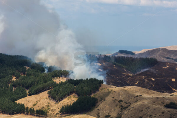 Summer grass fire, Hawke’s Bay, New Zealand - SCP Stock