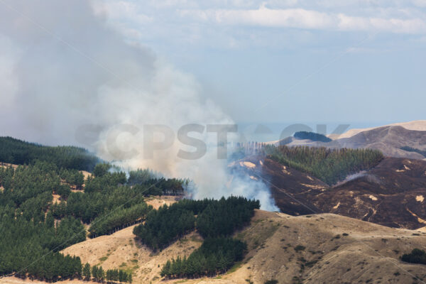 Summer grass fire, Hawke’s Bay, New Zealand - SCP Stock