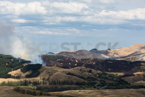 Summer grass fire, Hawke’s Bay, New Zealand - SCP Stock