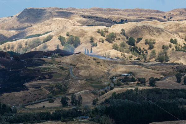 Summer grass fire, Hawke’s Bay, New Zealand - SCP Stock