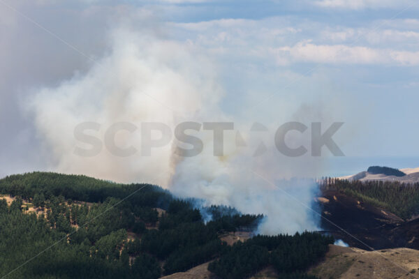 Summer grass fire, Hawke’s Bay, New Zealand - SCP Stock