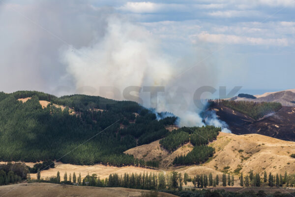 Summer grass fire, Hawke’s Bay, New Zealand - SCP Stock