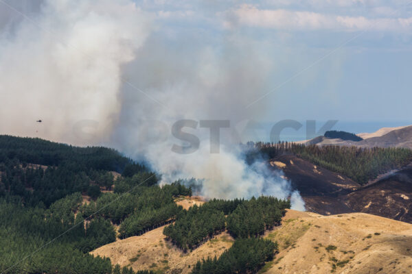 Summer grass fire, Hawke’s Bay, New Zealand - SCP Stock